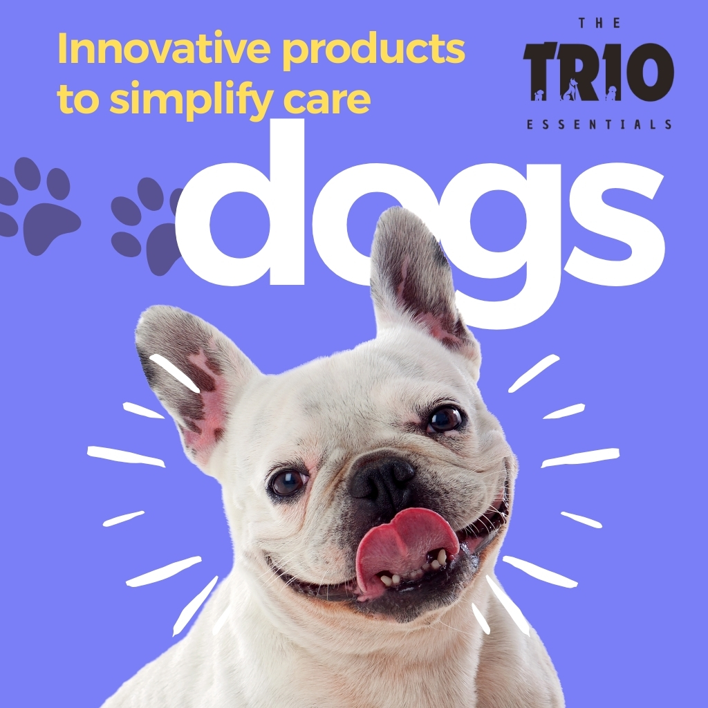 The Trio Essentials - Website | Marketing Collaterals | Social Media